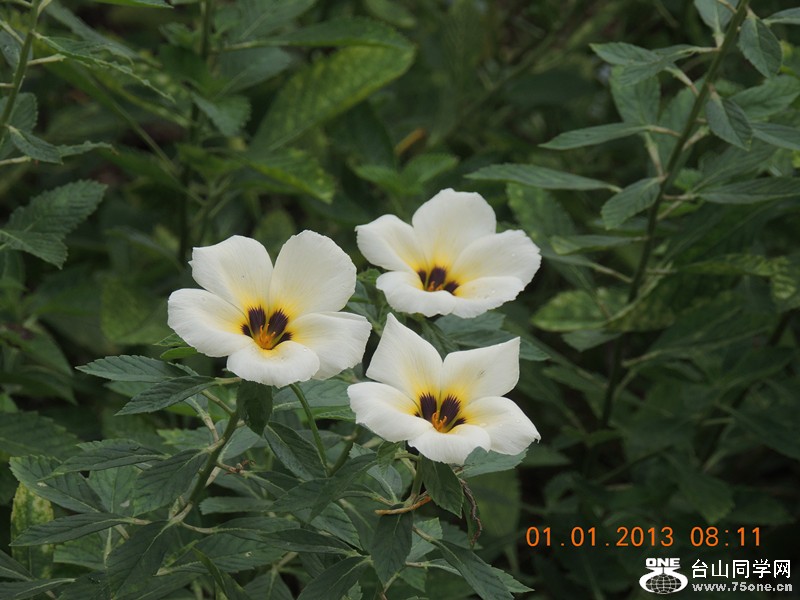 2013 vacation 578_.jpg
