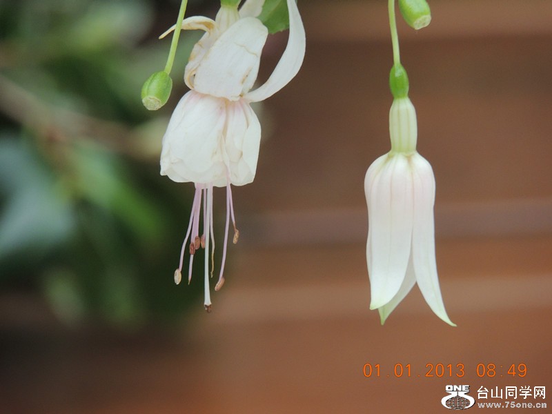 2013 vacation 679_.jpg