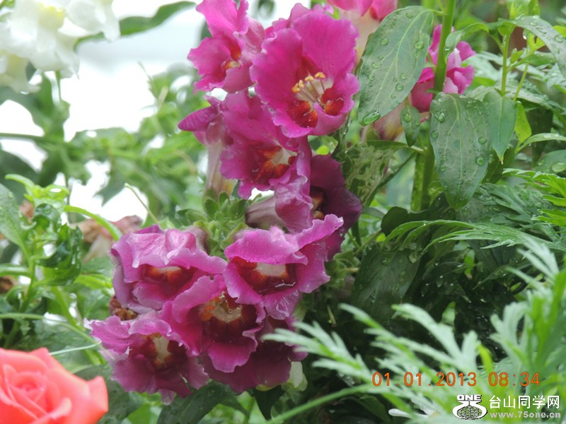 2013 vacation 624_.jpg
