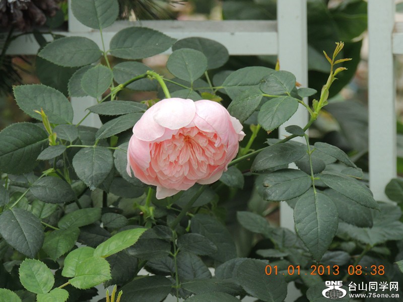 2013 vacation 636_.jpg