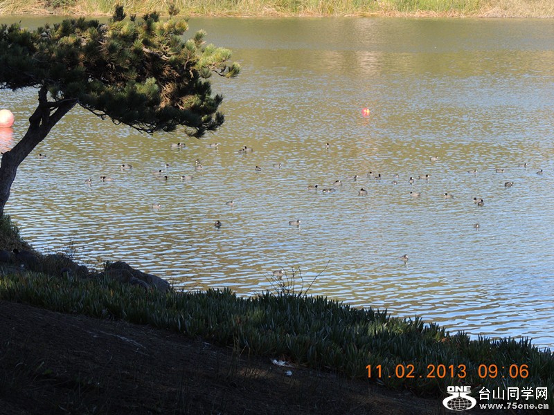live pictures #3 1005_.jpg