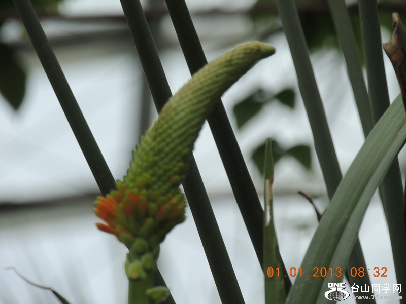 2013 vacation 613_.jpg