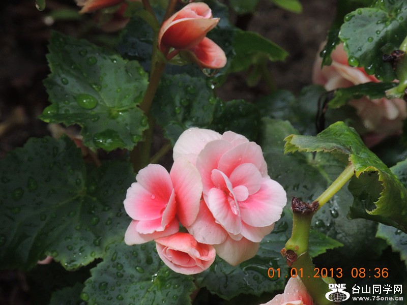 2013 vacation 627_.jpg