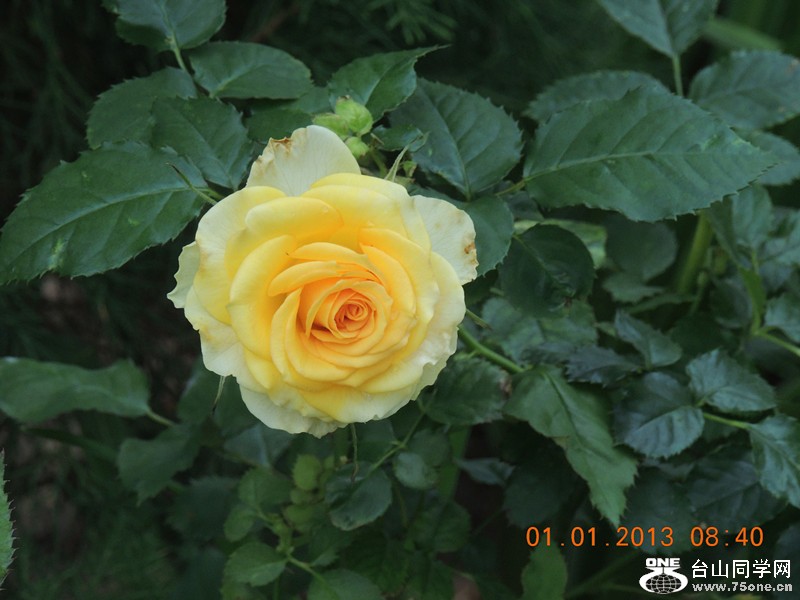 2013 vacation 652_.jpg