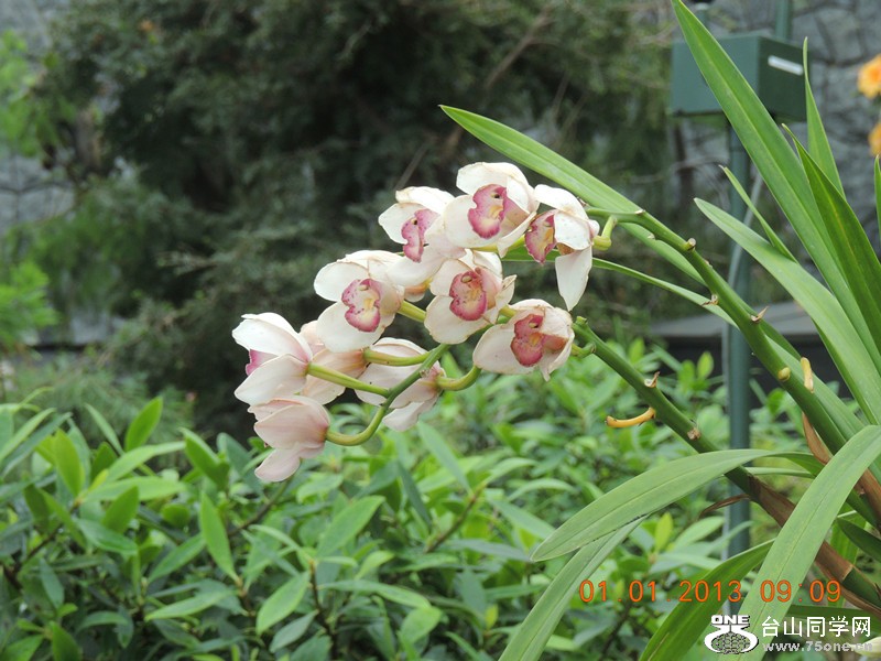 2013 vacation 729_.jpg