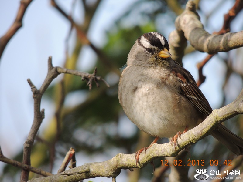 bird 400_.jpg