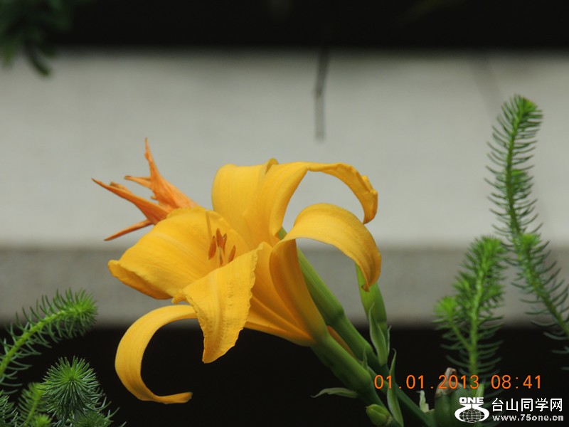 2013 vacation 653_.jpg