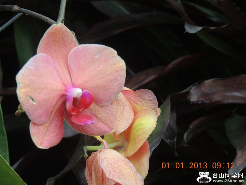2013 vacation 737_.jpg