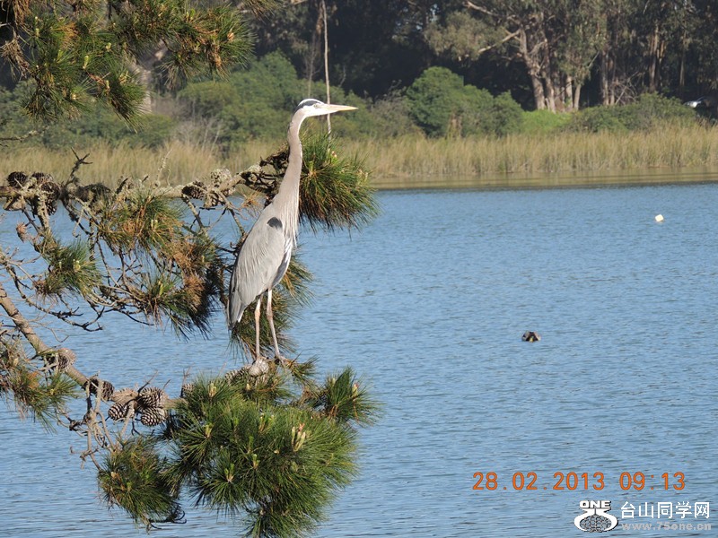 bird 1251_.jpg
