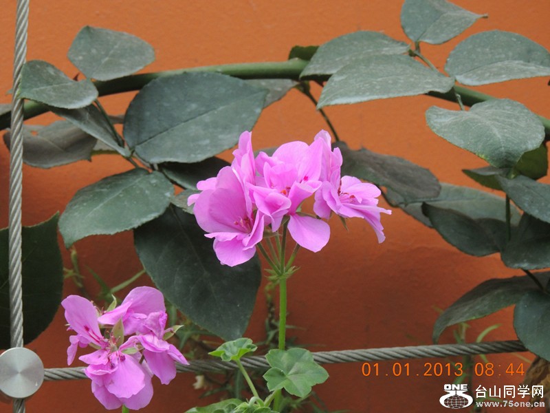 2013 vacation 668_.jpg