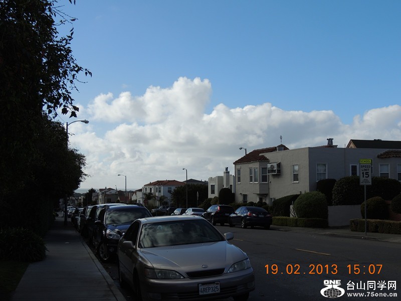 live pictures #3 1079_.jpg
