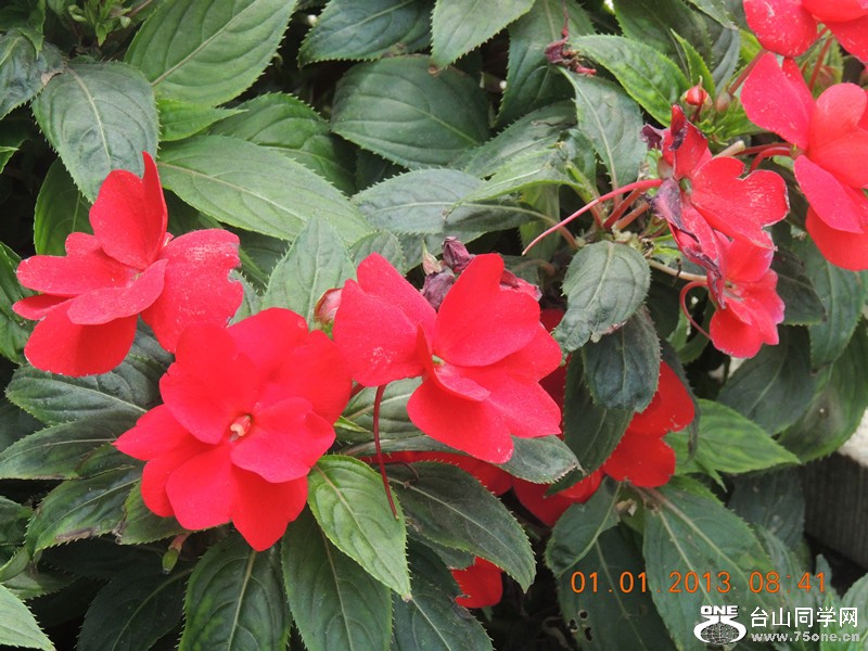 2013 vacation 658_.jpg