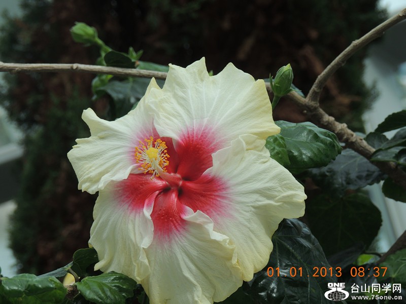 2013 vacation 631_.jpg