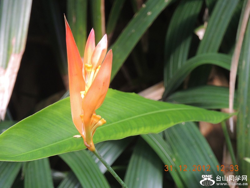 2013 vacation 340_.jpg