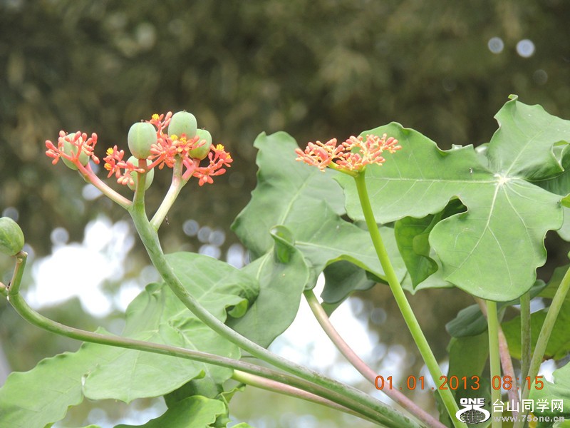 2013 vacation 582_.jpg