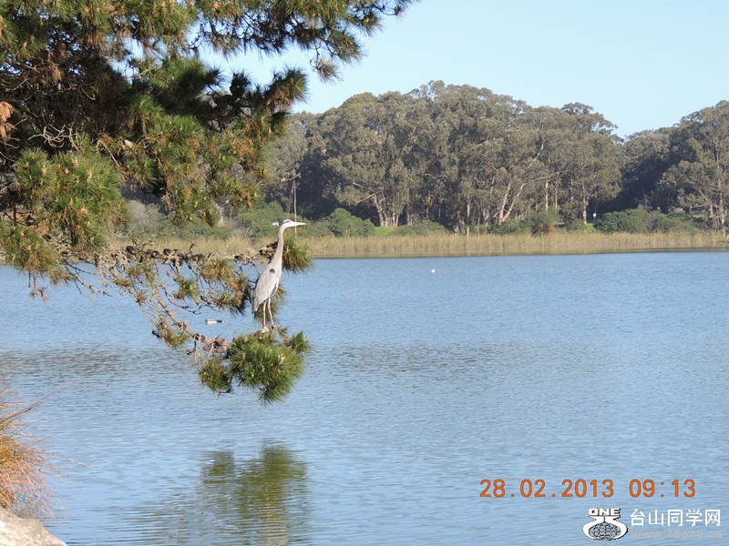 bird 1250_.jpg