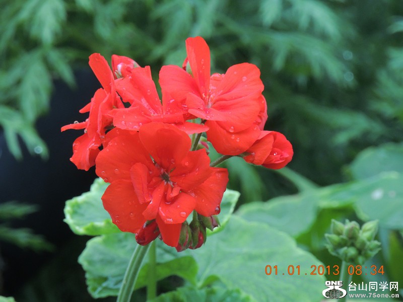 2013 vacation 622_.jpg