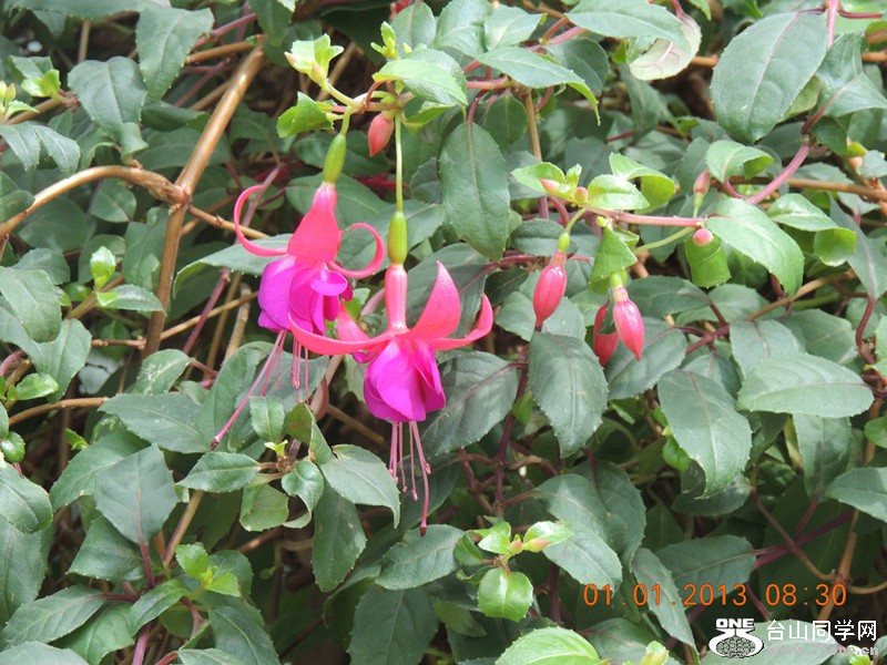 2013 vacation 605_.jpg