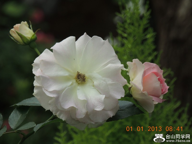 2013 vacation 654_.jpg