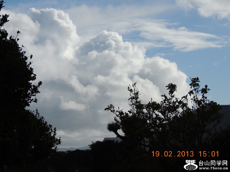live pictures #3 1078_.jpg