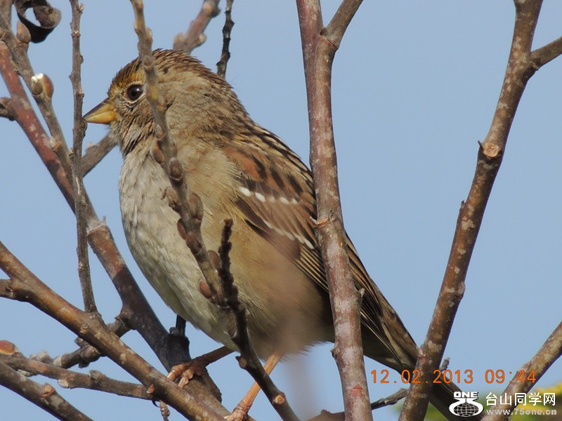 bird 403_.jpg