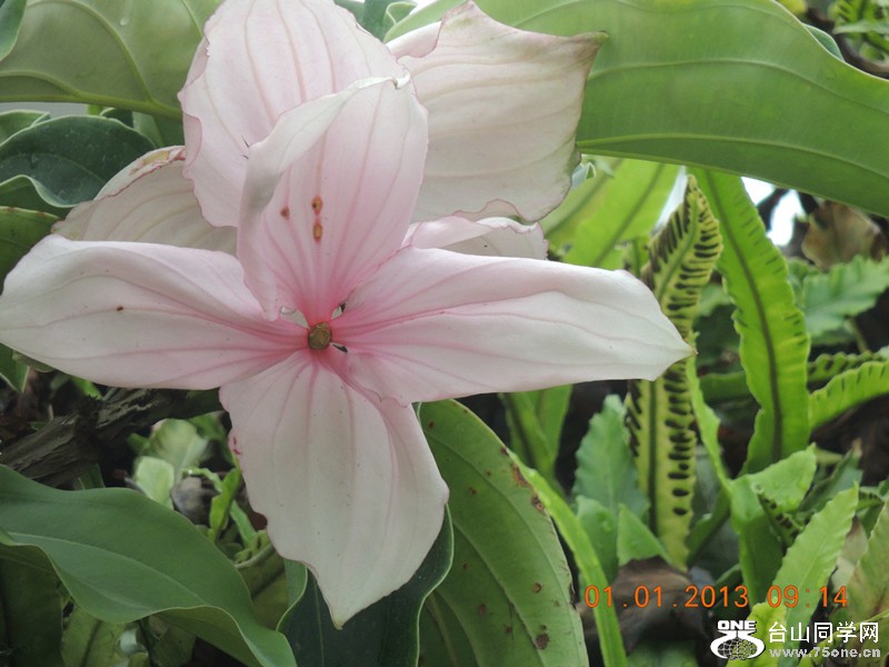 2013 vacation 745_.jpg