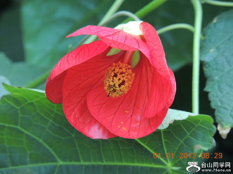 2013 vacation 603_.jpg