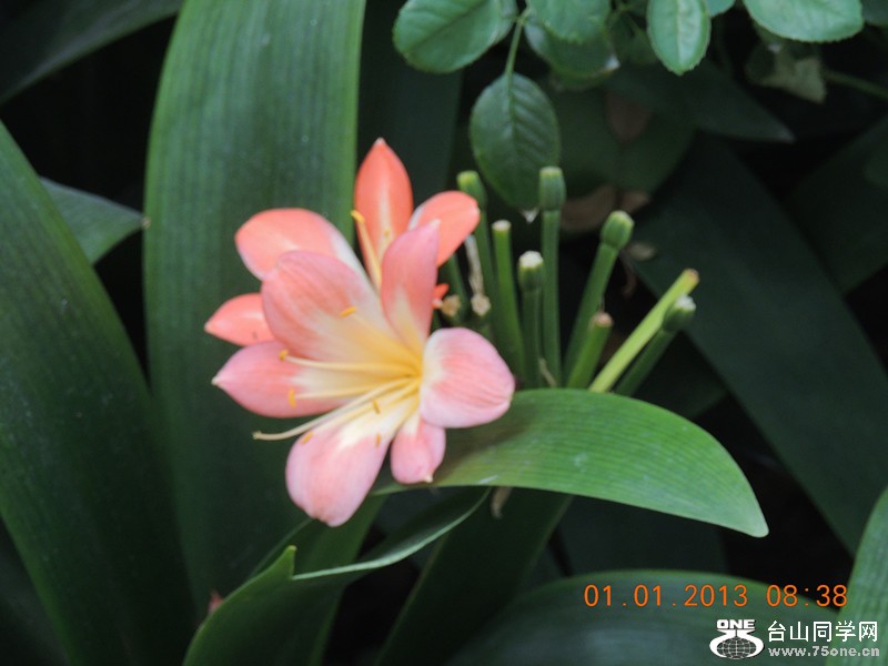 2013 vacation 640_.jpg