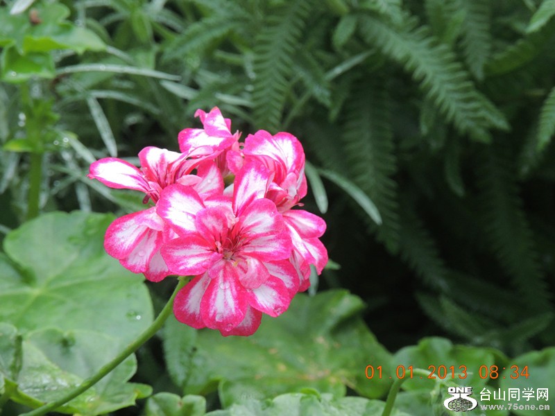 2013 vacation 619_.jpg