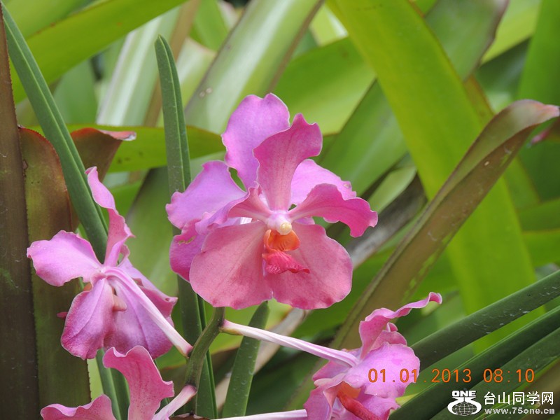 2013 vacation 576_.jpg