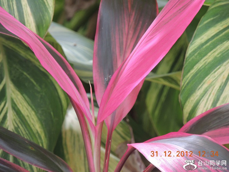 2013 vacation 345_.jpg