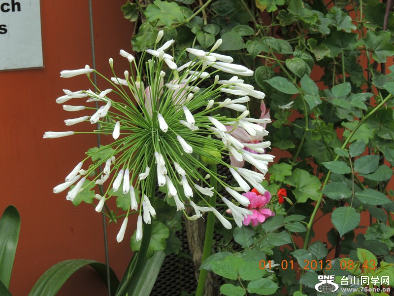 2013 vacation 665_.jpg