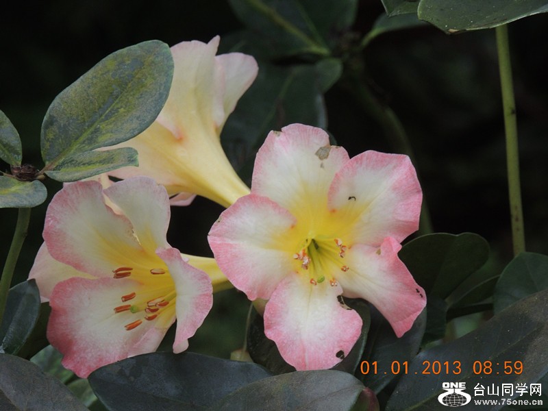 2013 vacation 701_.jpg