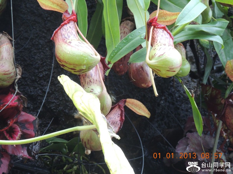 2013 vacation 693_.jpg