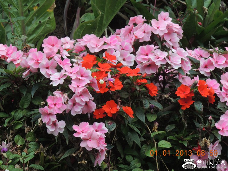 2013 vacation 698_.jpg