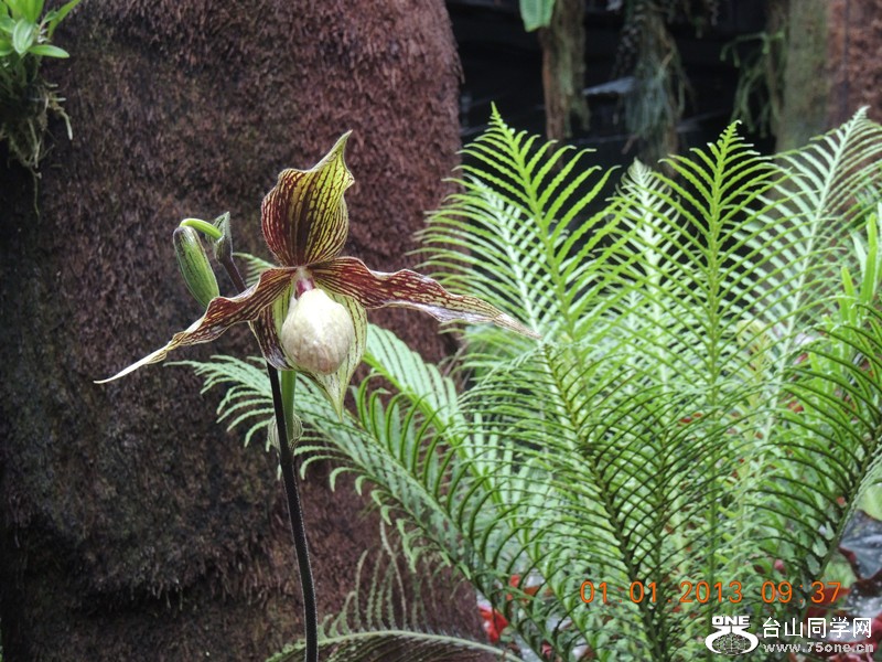 2013 vacation 775_.jpg