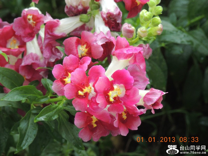2013 vacation 618_.jpg