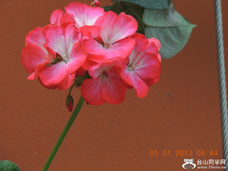 2013 vacation 667_.jpg