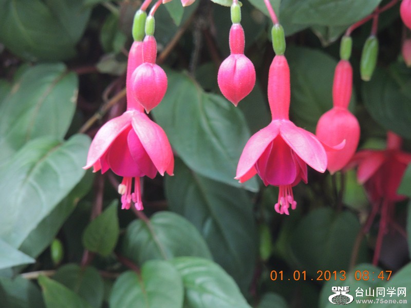 2013 vacation 675_.jpg