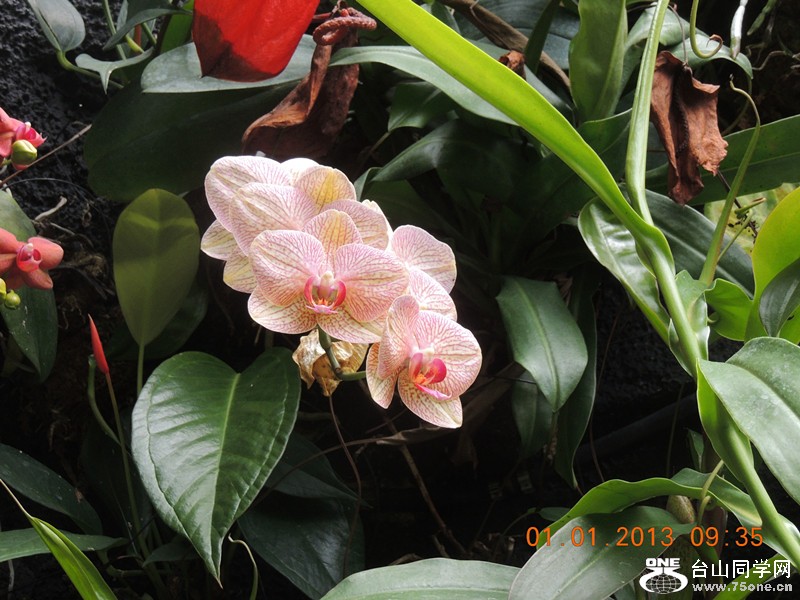 2013 vacation 768_.jpg