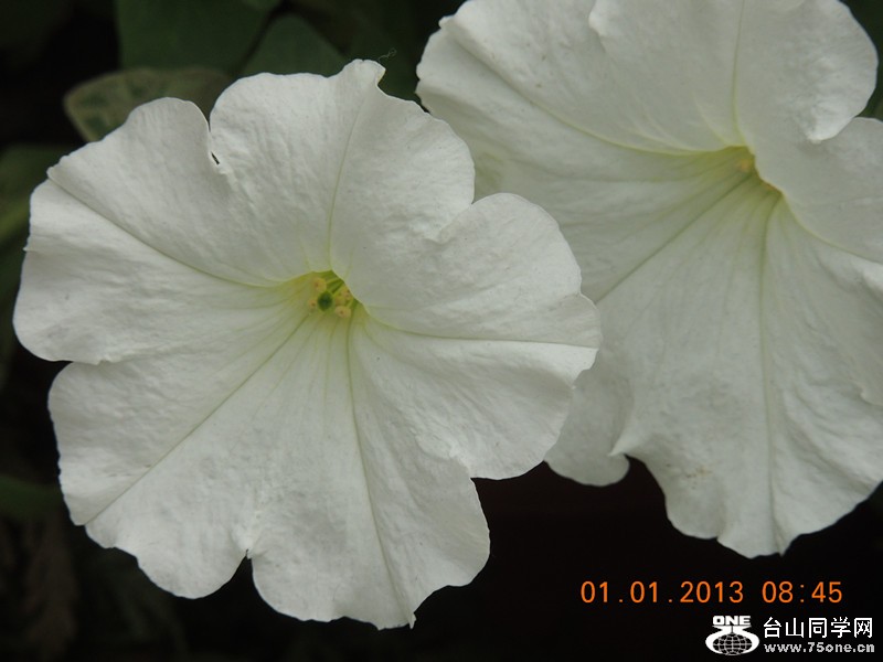 2013 vacation 673_.jpg