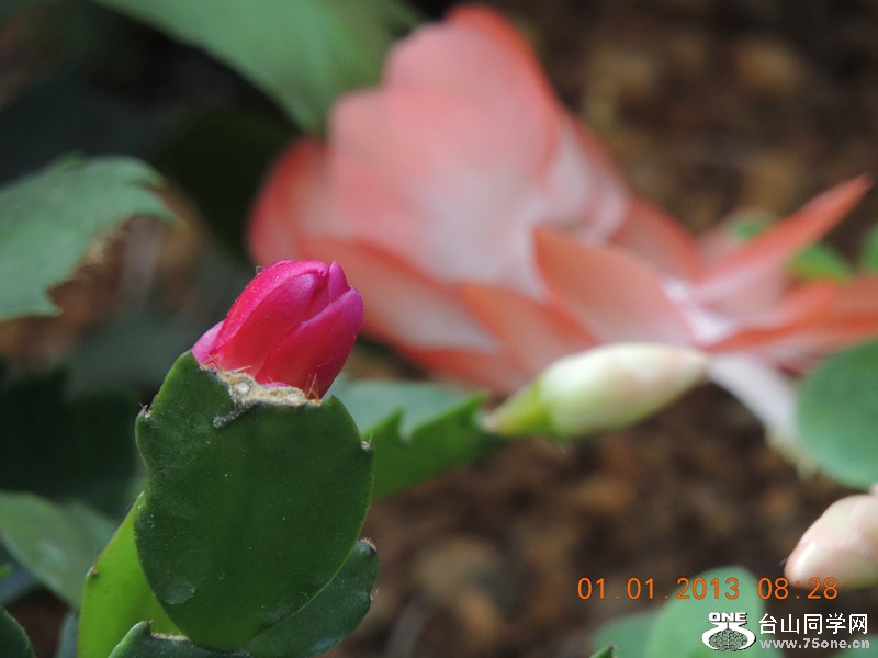 2013 vacation 598_.jpg