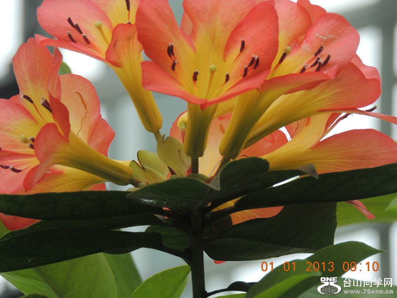 2013 vacation 732_.jpg