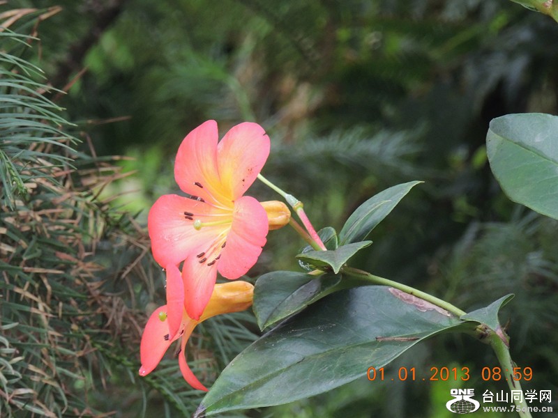 2013 vacation 702_.jpg