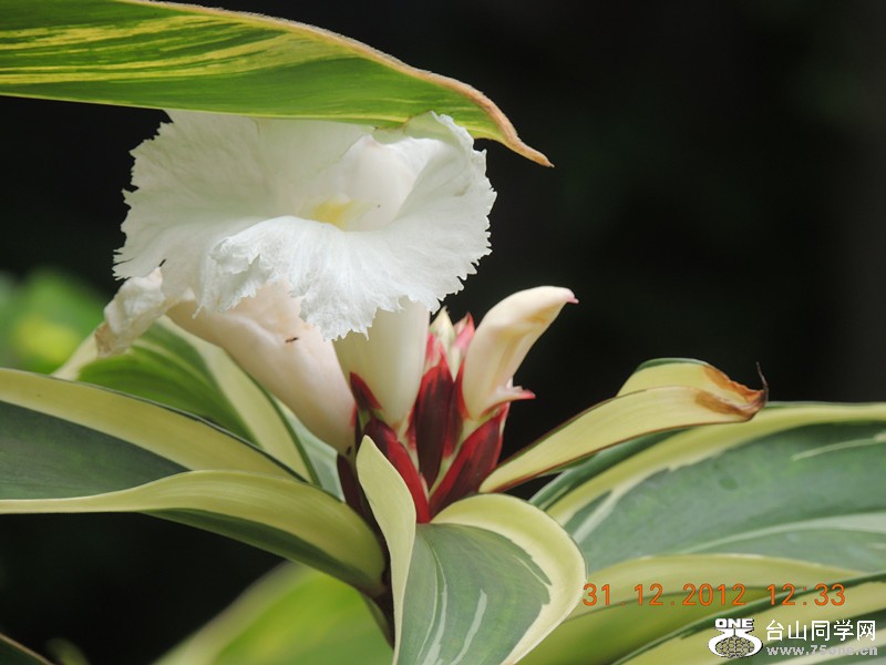 2013 vacation 341_.jpg
