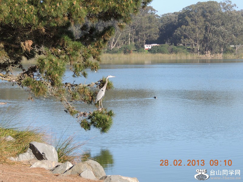 bird 1238_.jpg