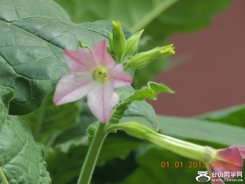 2013 vacation 601_.jpg