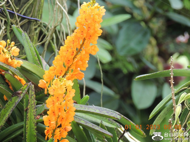 2013 vacation 722_.jpg