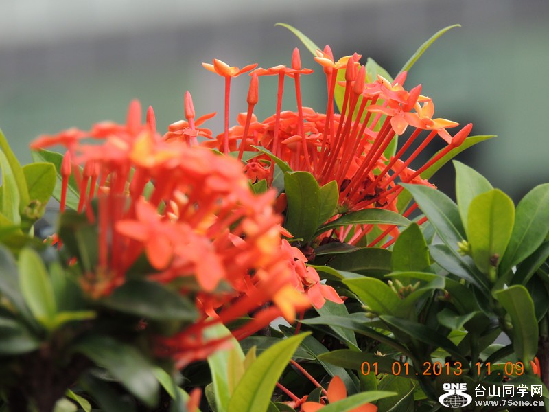 2013 vacation 812_.jpg