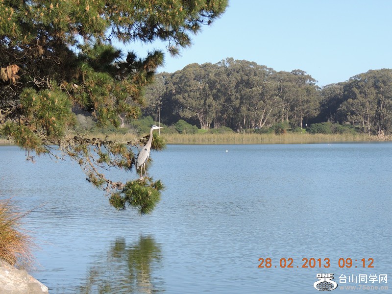 bird 1244_.jpg